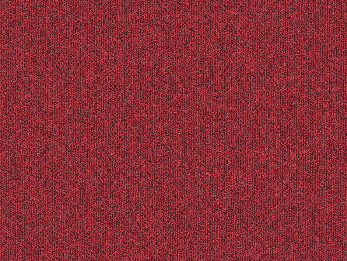Heuga 727 - 4122142 Amaryllis